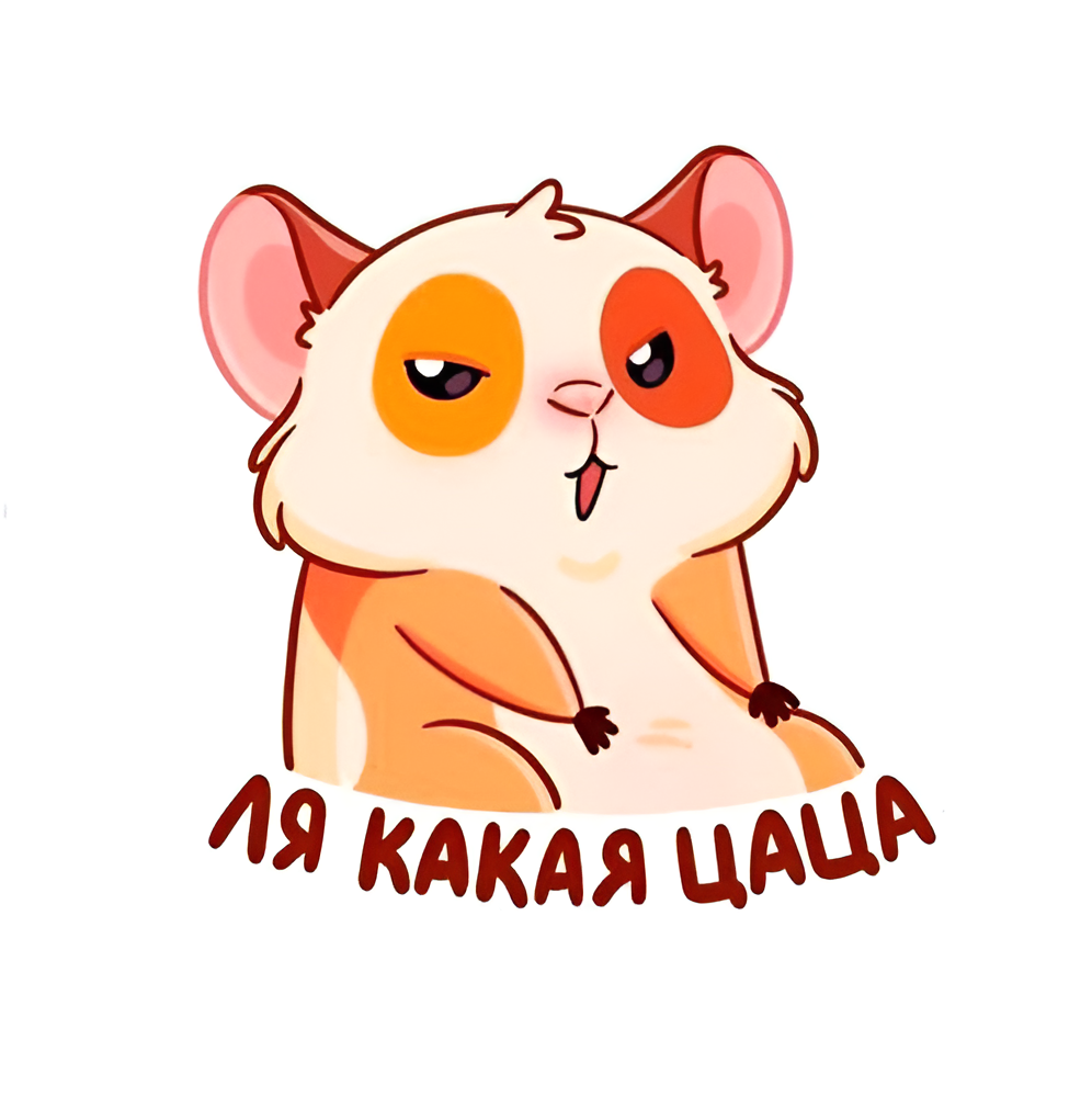 Ля цаца. Ля какая цаца. Ля какая цаца. Ля майка. Футболка ля какой.