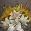 Kaarish