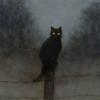 trickychery