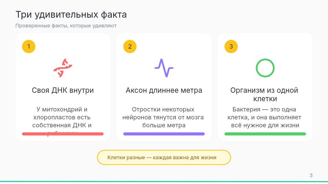 Слайд 3 презентации &laquo;Строение клетки&raquo;, созданной в Manus